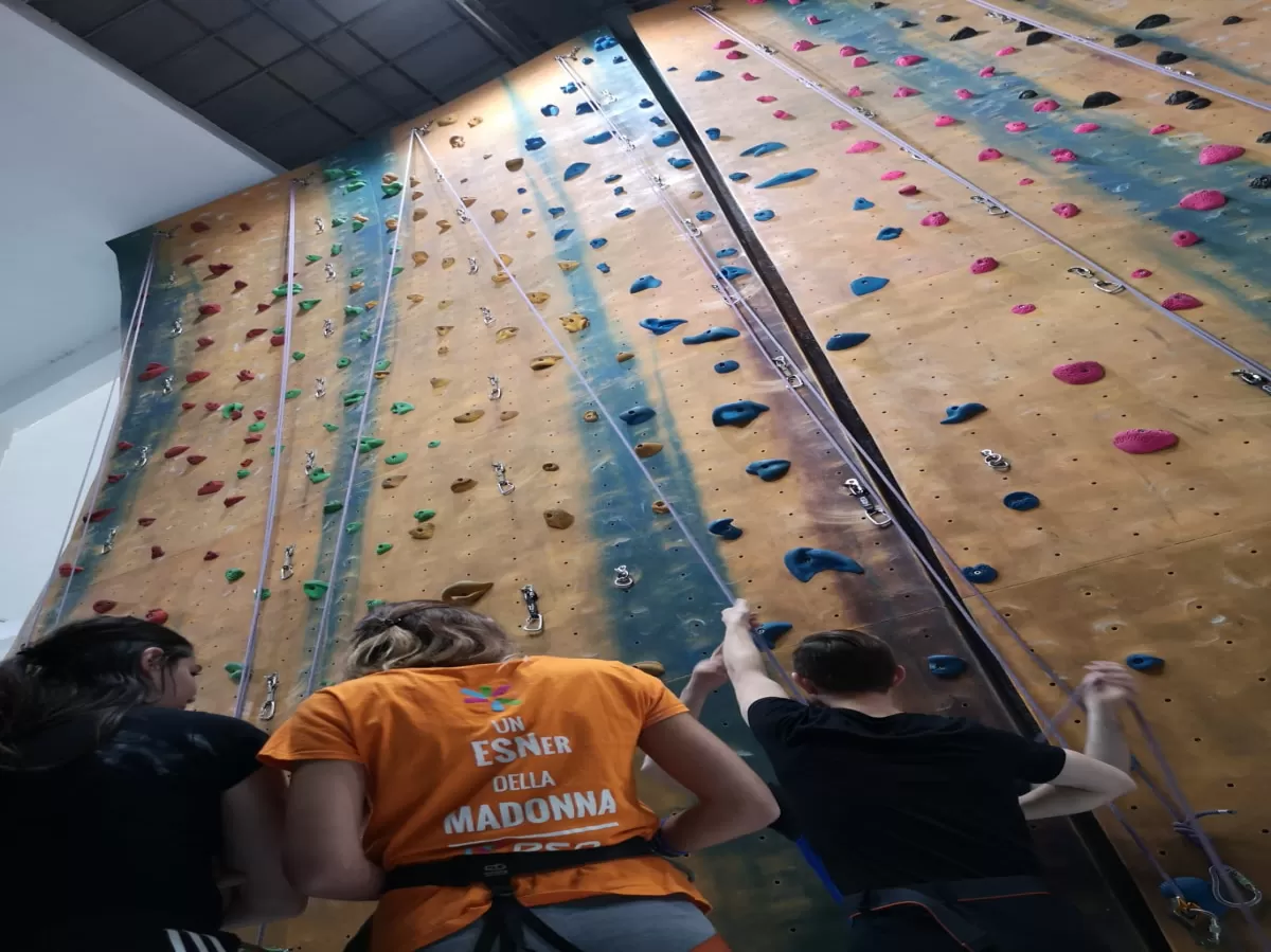 Taking their first look at the wall