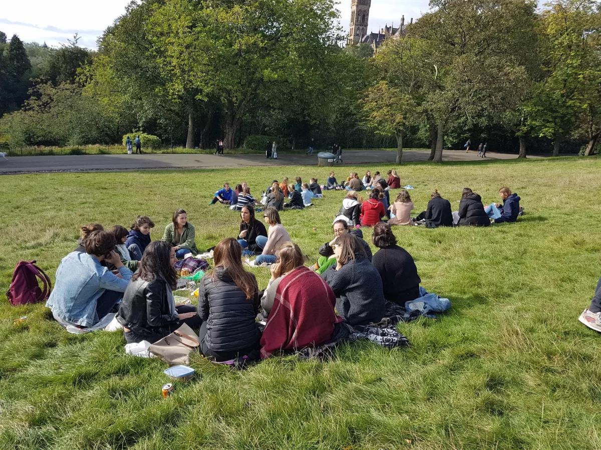 Image shows students sitting in a park having a picnic.