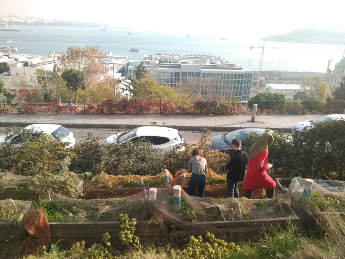 Kitchen Garden and Marmara Sea