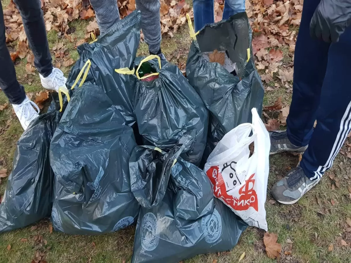 All of the bags we collected