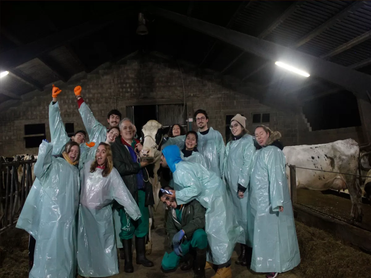 Several people stand in a milking facility with a cow