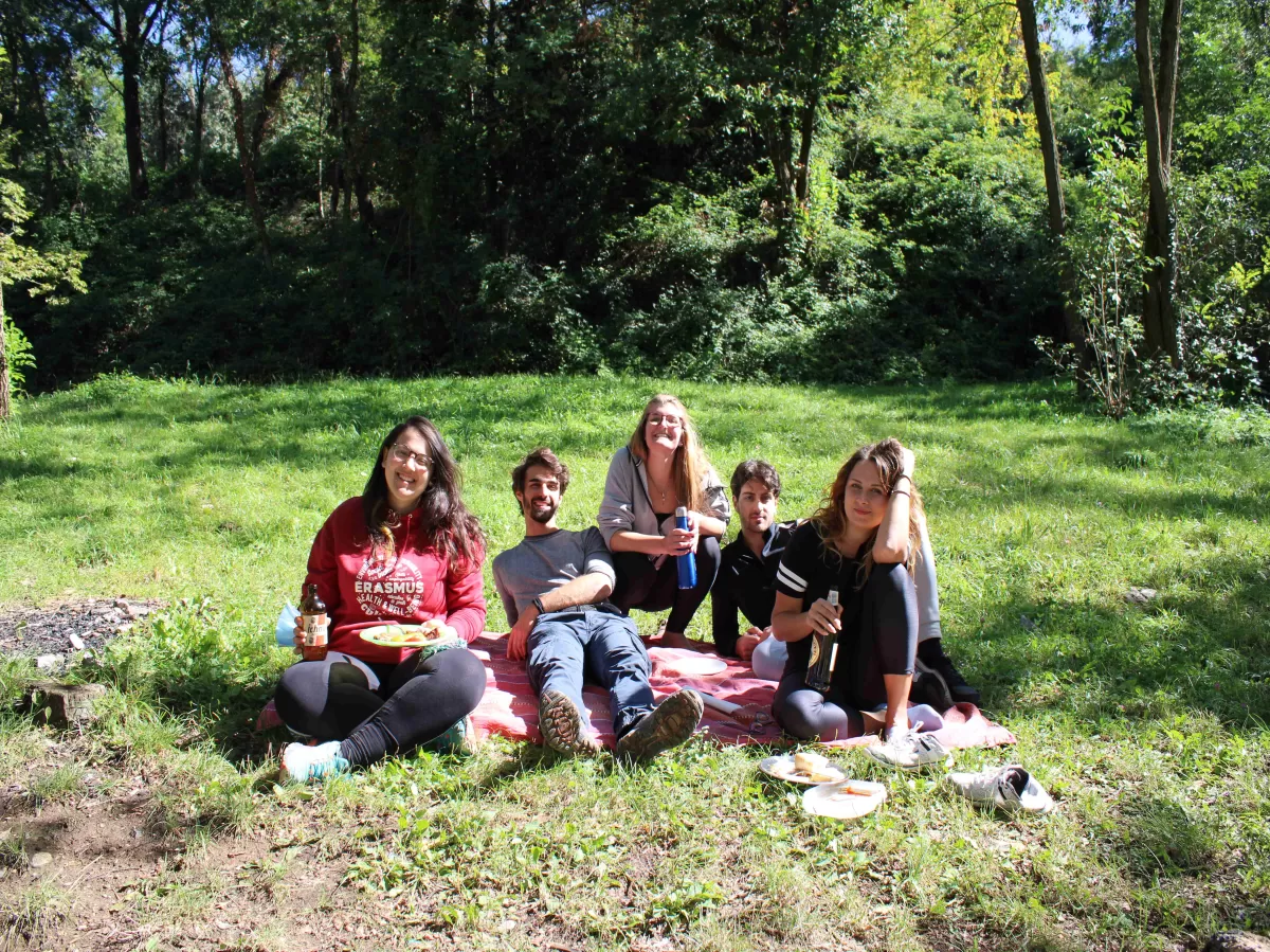 five people sitting on grass