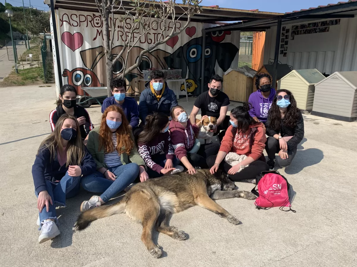 ERASMUS students with some of the dogs from the shelter