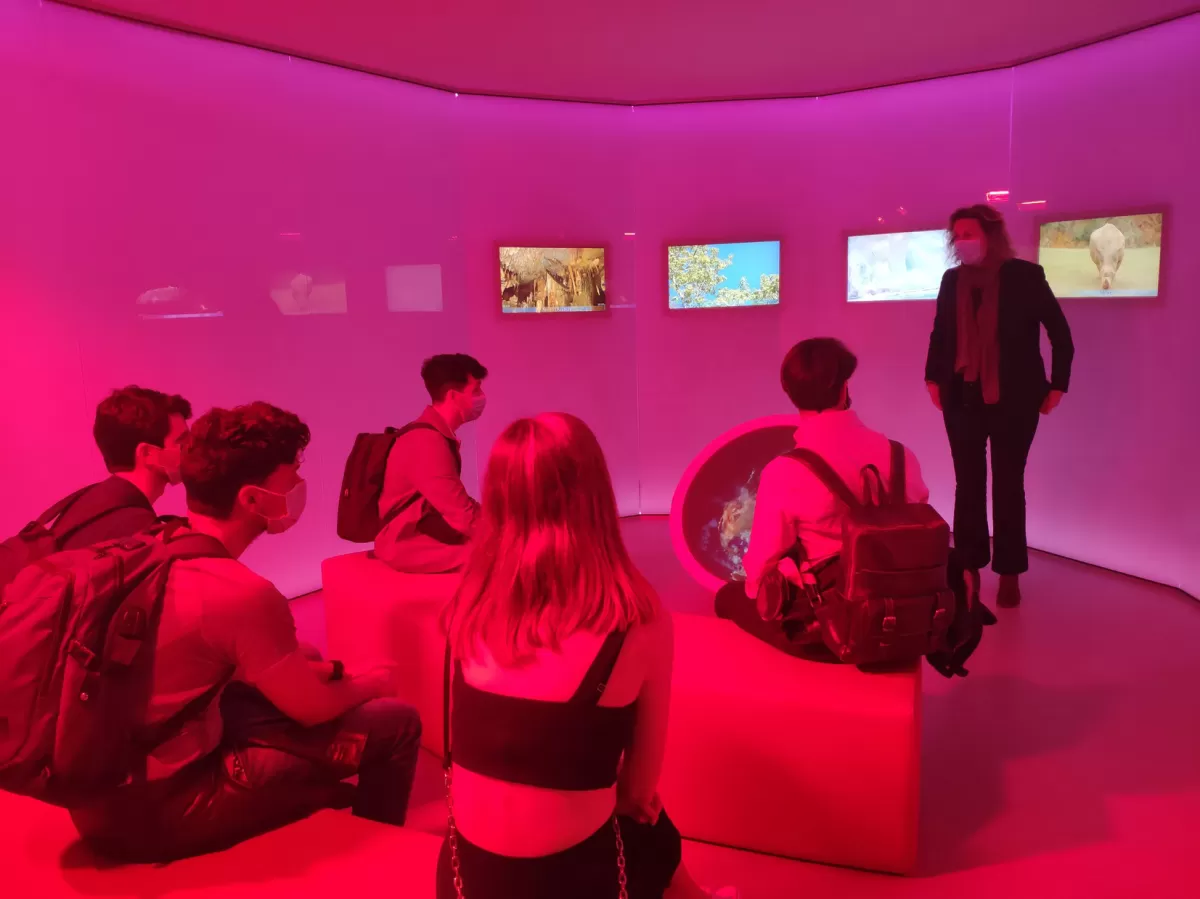 ERASMUS students and our volunteers inside the museum.