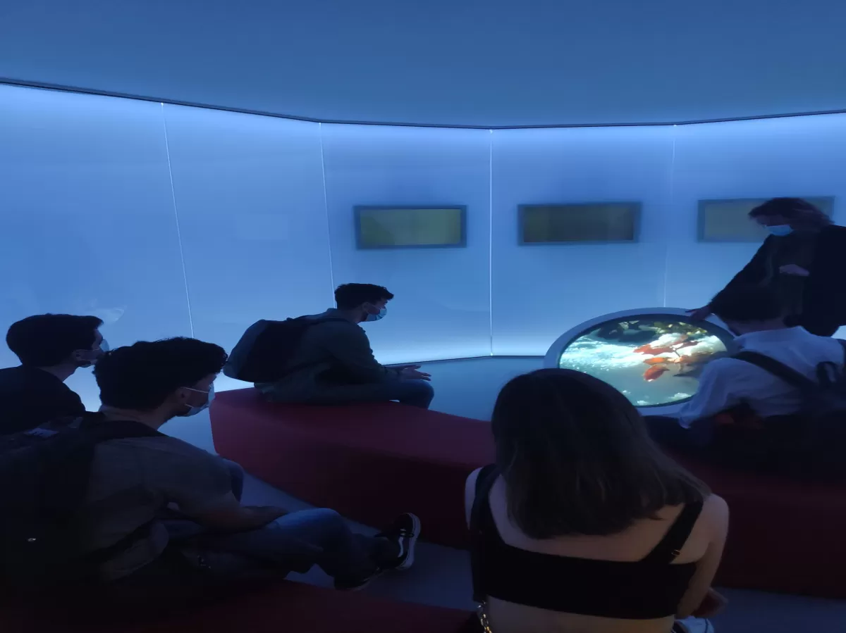 ERASMUS students and our volunteers inside the museum.