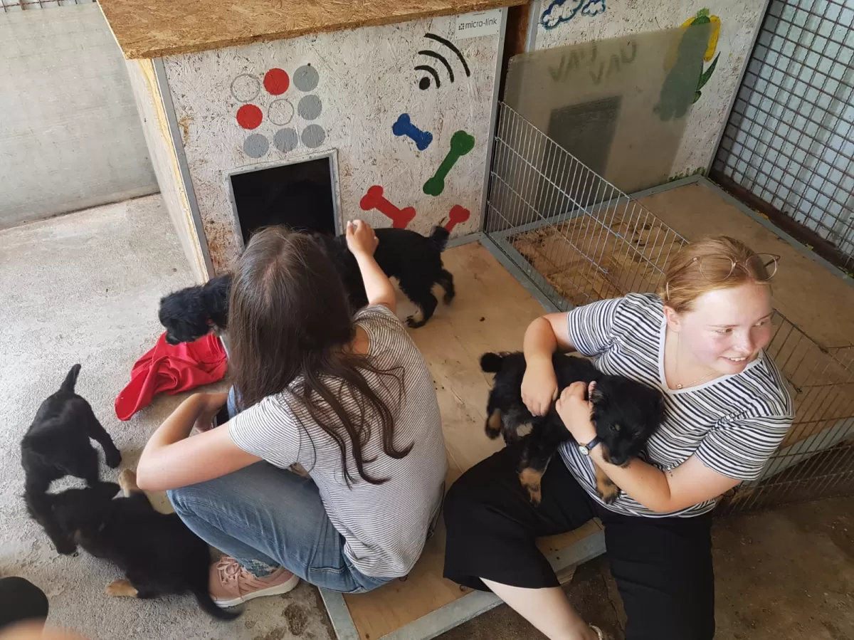 Two girls holding puppies and playing with them.