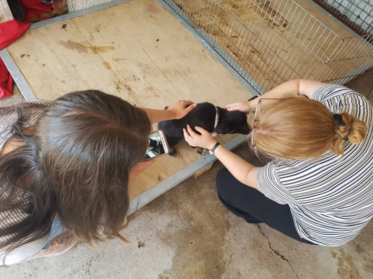 Two girls playing with a puppy.