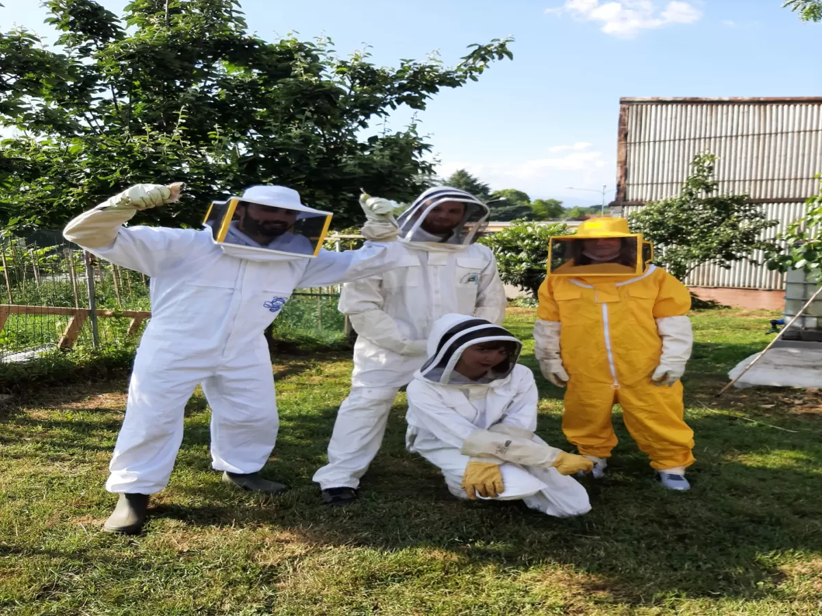 Erasmus visit a beehives