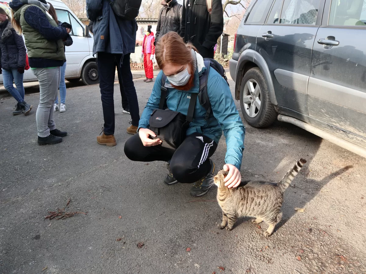 an exchange student petting a munchkin cat