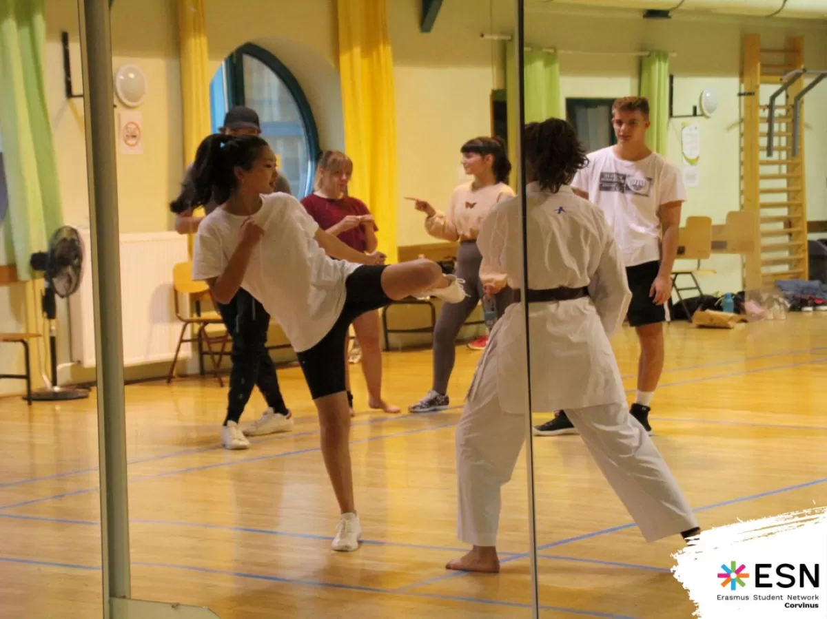 students learning karate