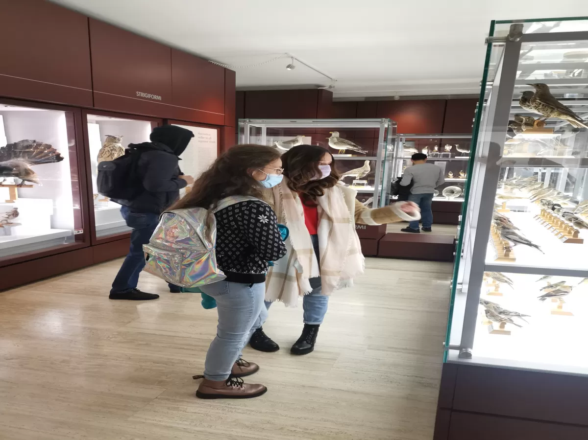 Students visiting the Civic Museum of Rovereto
