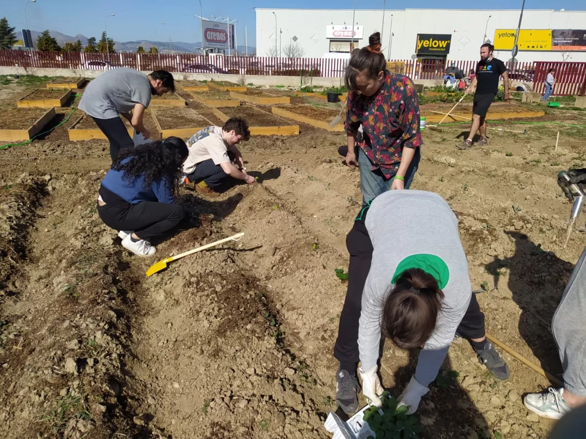 Students working on the urban garden
