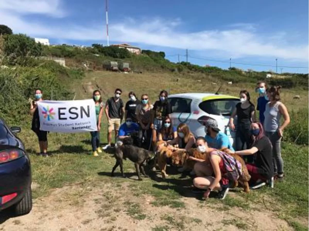 Here we are during our walk with the dogs from the shelter.