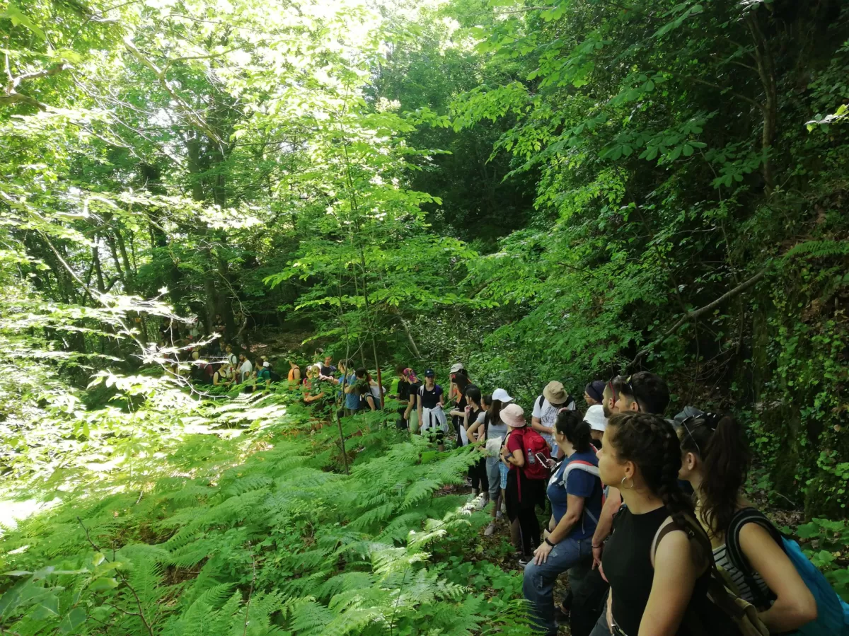 Students during the hiking