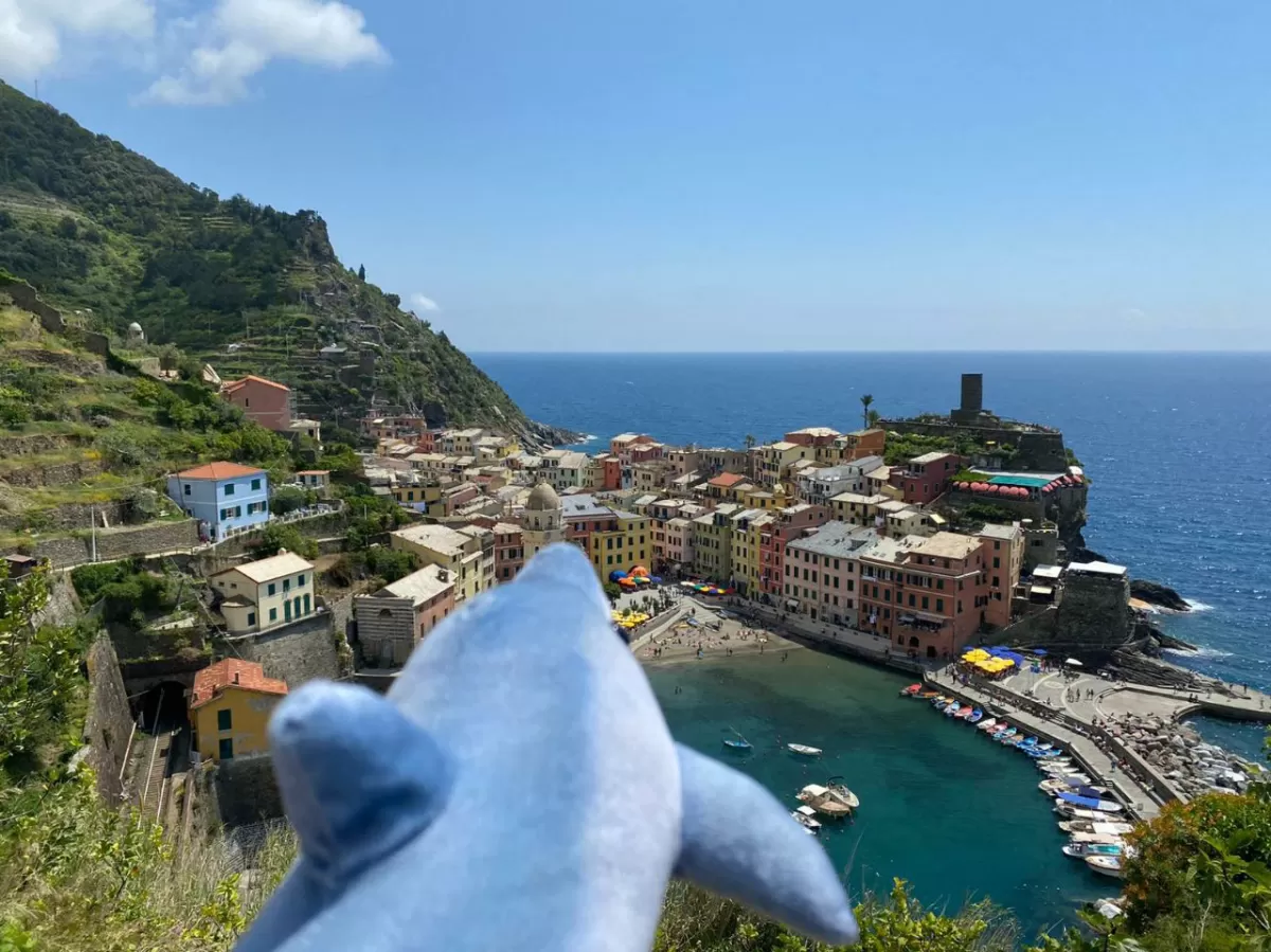 Dino enjoying the view of Cinque Terre