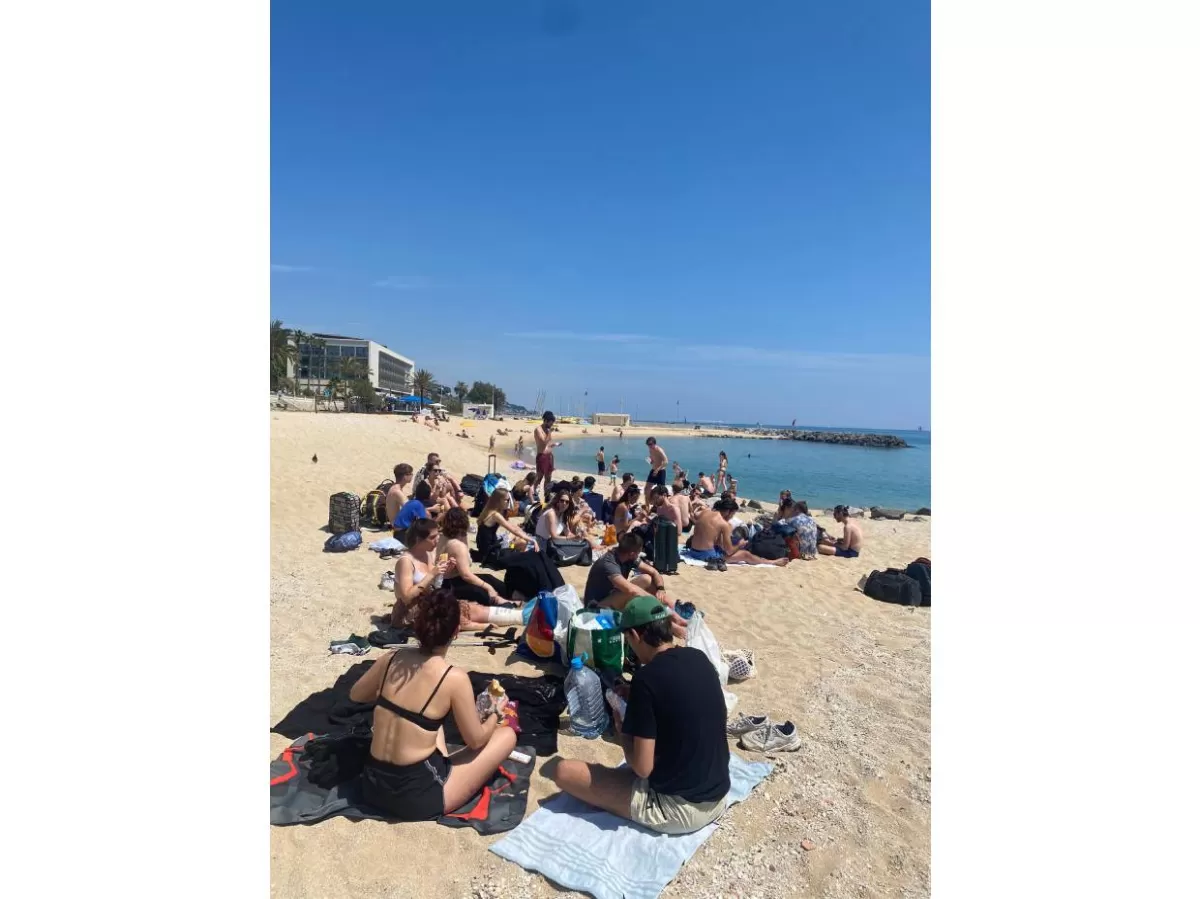 Participants sitting down in the beach sand in front of the sea while eating sandwiches. They are sitting in circles and talking to each other. The sky looks clear and sunny.