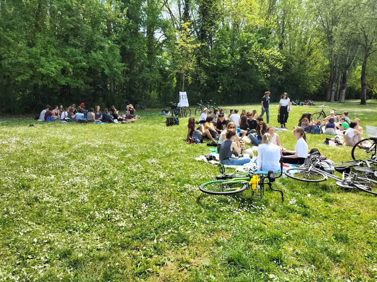 Participants enjoying the picnic