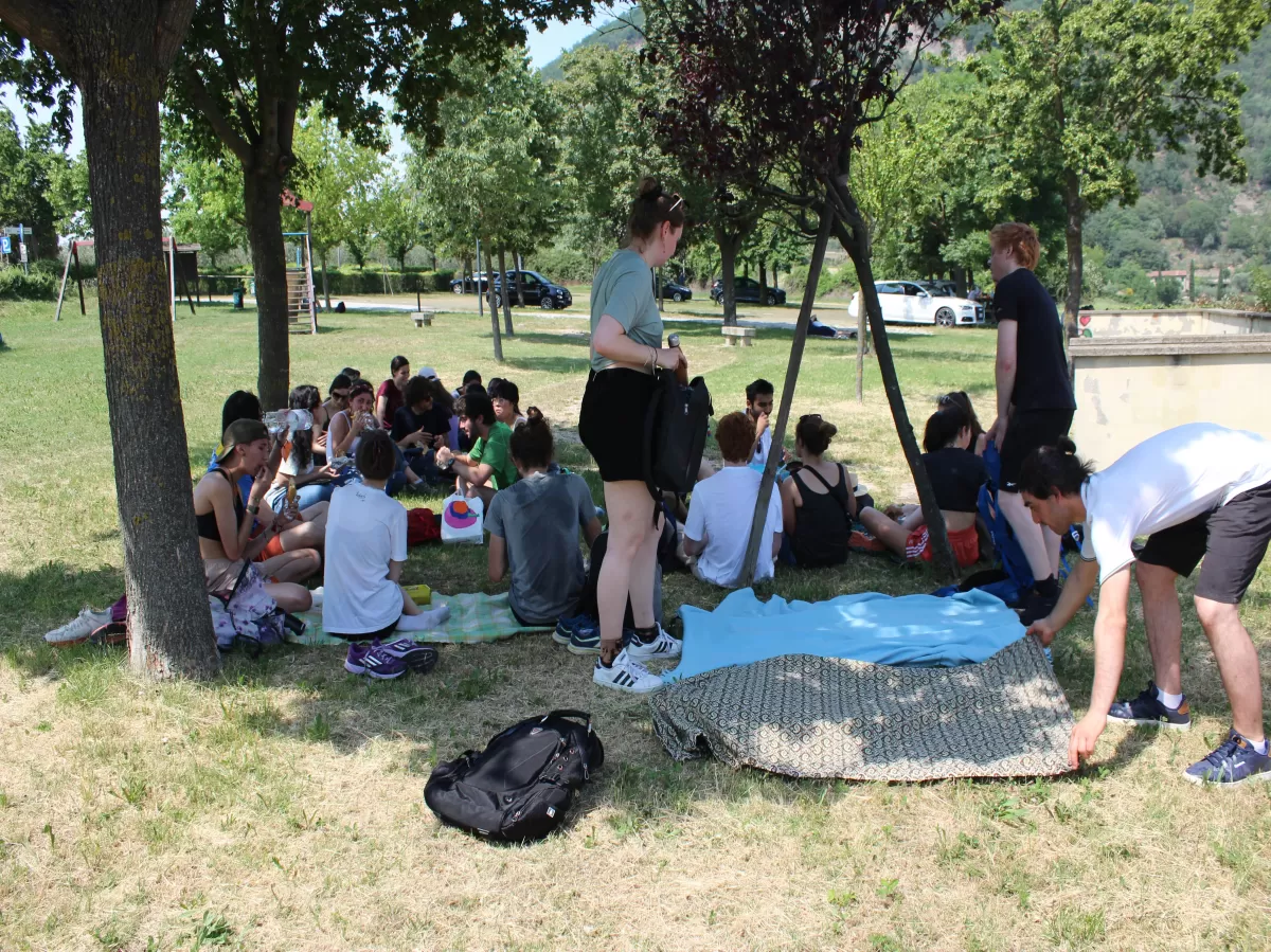 The group having a picnic