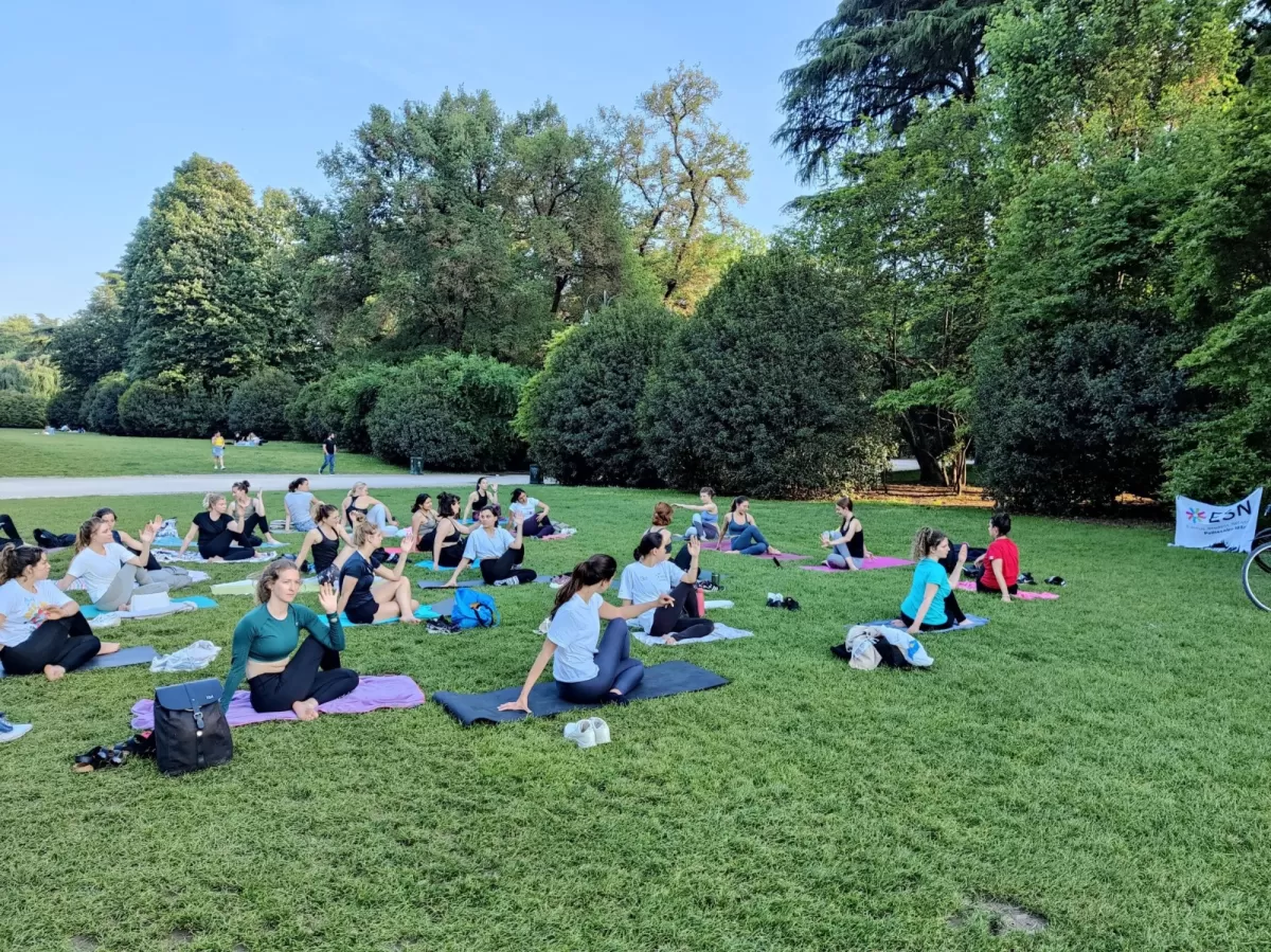 Group of international students practicing yoga in the park at sunset