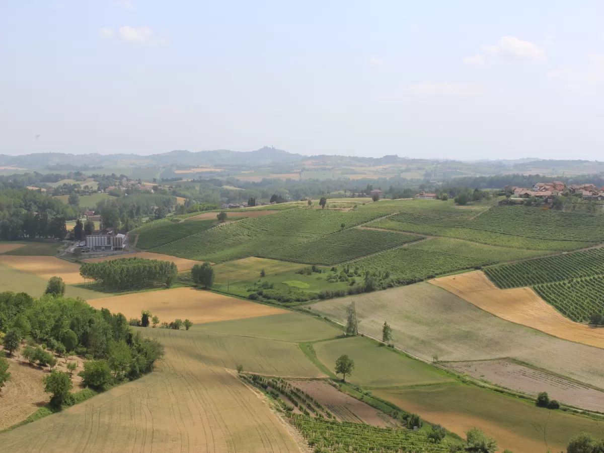 The Monferrato landscape