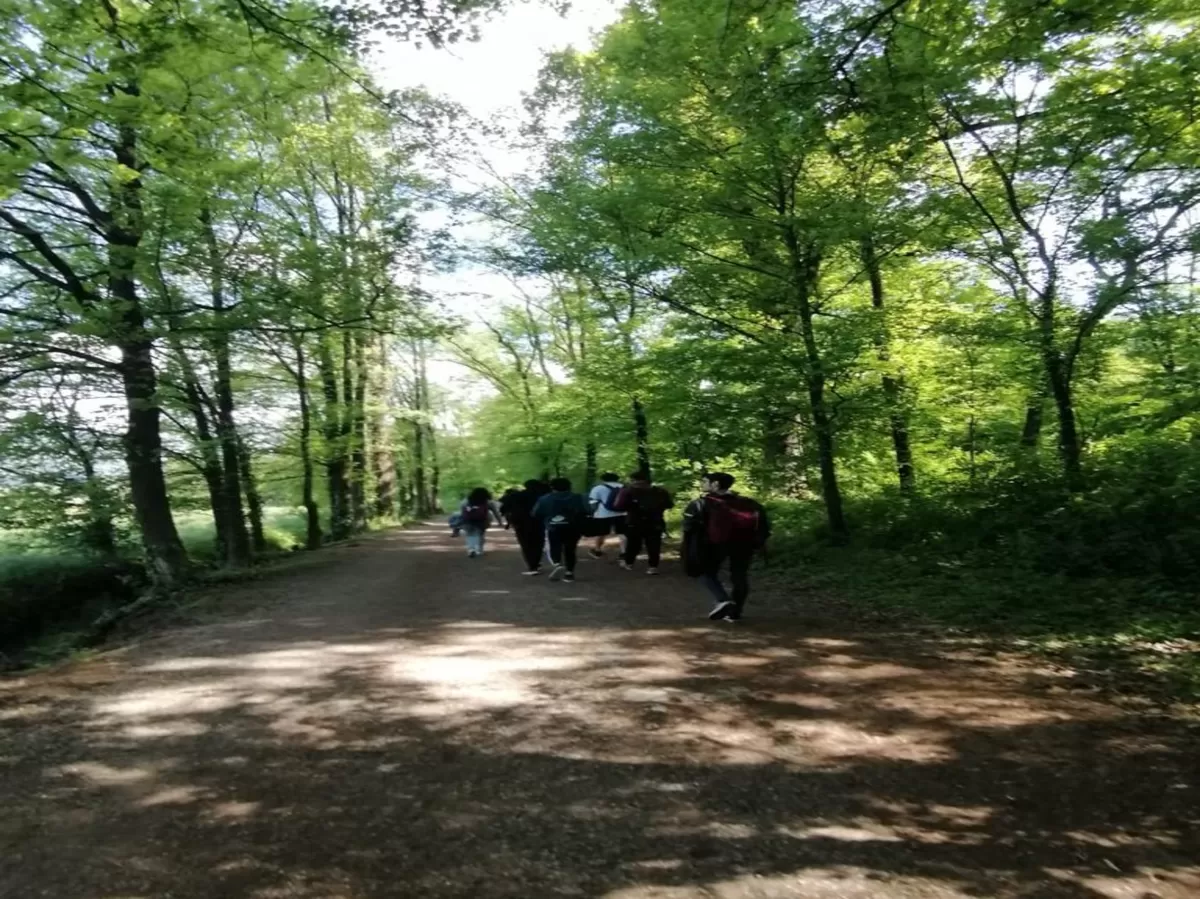 people walking in the nature