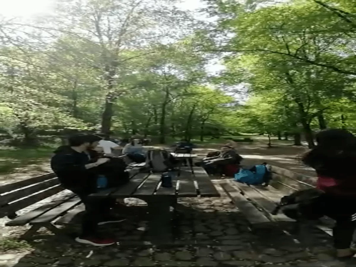people talking on a picnic table