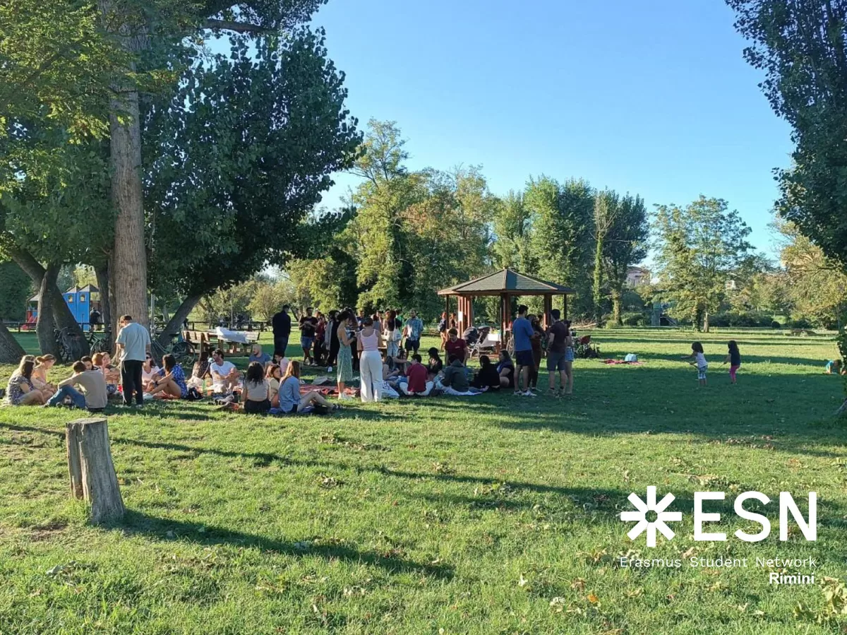 Our international students and volunteers gathering at the park, seen from afar