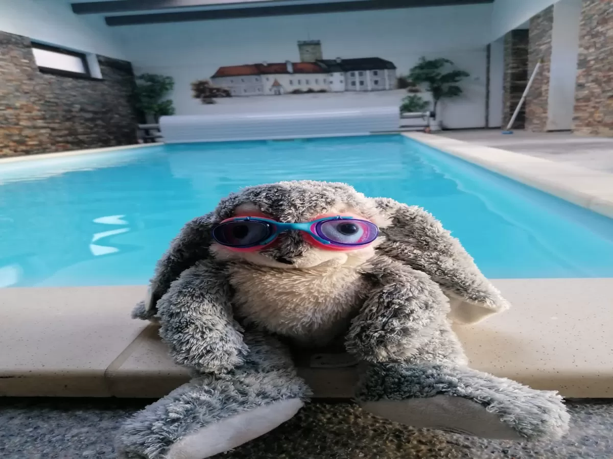 Section mascot enjoying his time at swimming pool