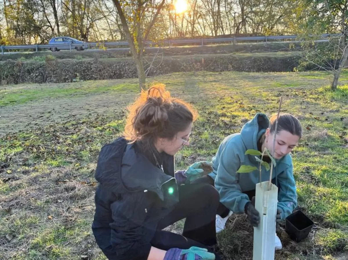 International students planting a tree during the sunset