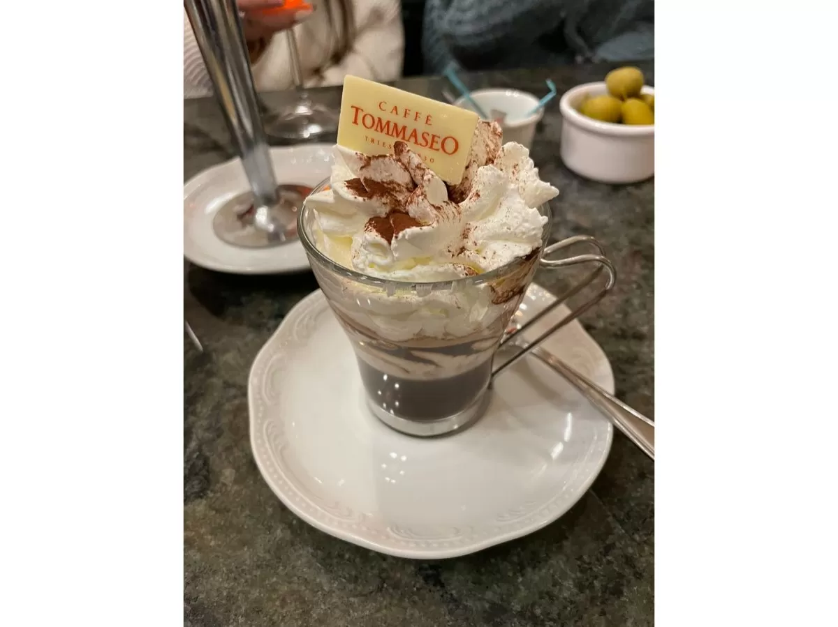 The picture shows a cup of hot chocolate with whipped cream. On top of it there is a piece of white chocolate with the name of the café on it (caffè Tommaseo).