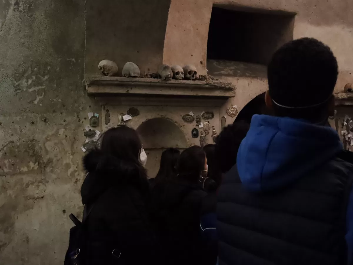 Fossilized skulls inside S.Luciella church