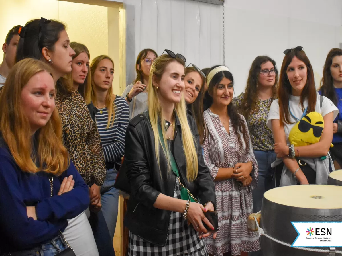 Parmesan cheese factory