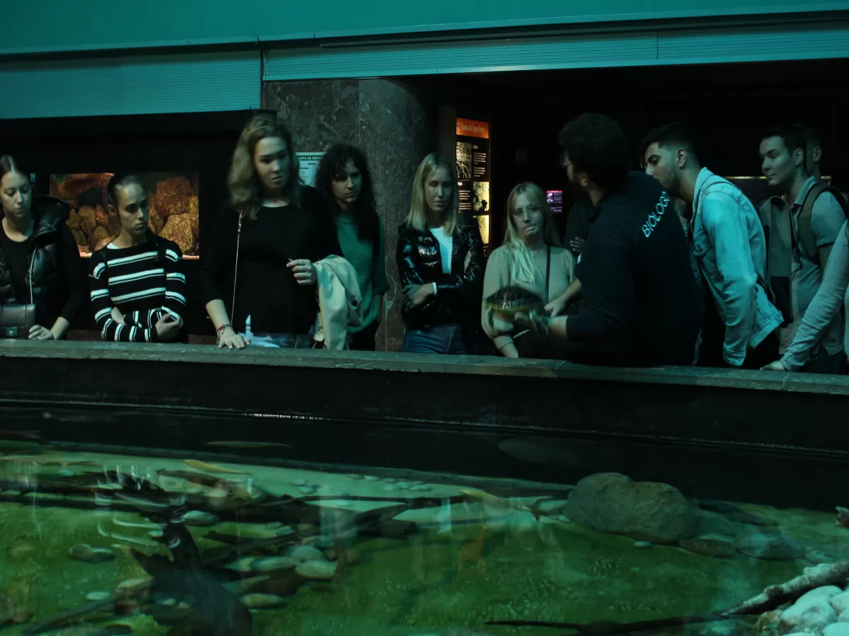 Students in the aquarium