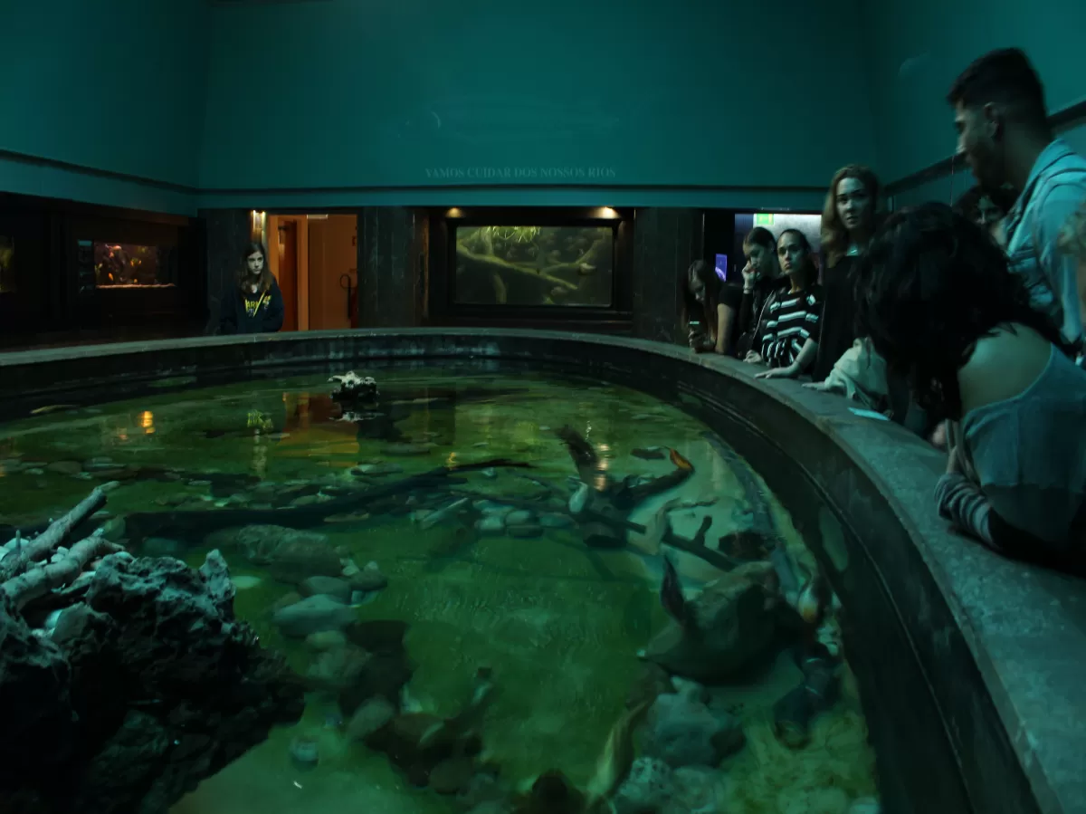 Students in the aquarium