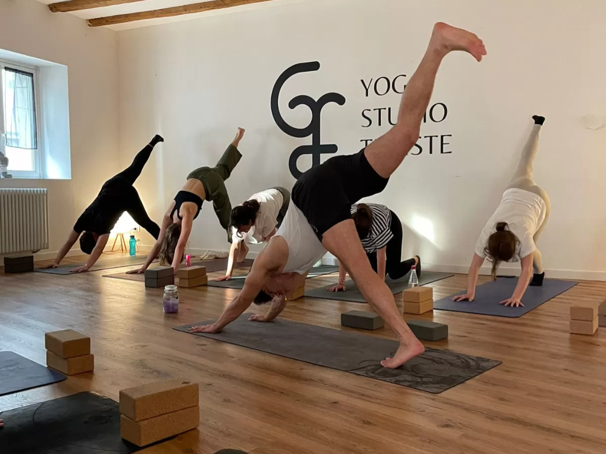 The picture shows the yoga teacher and the participants performing yoga poses.