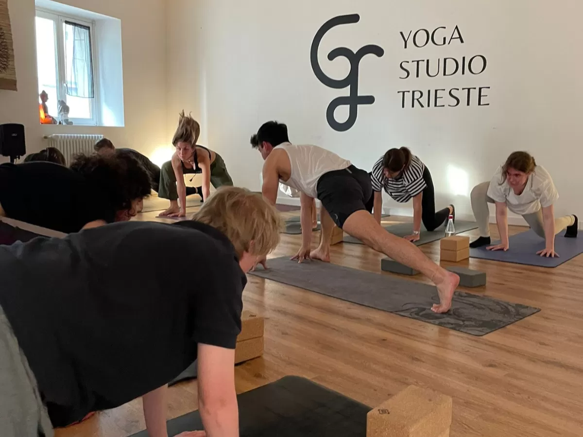 The picture shows the yoga teacher and the participants performing yoga poses.