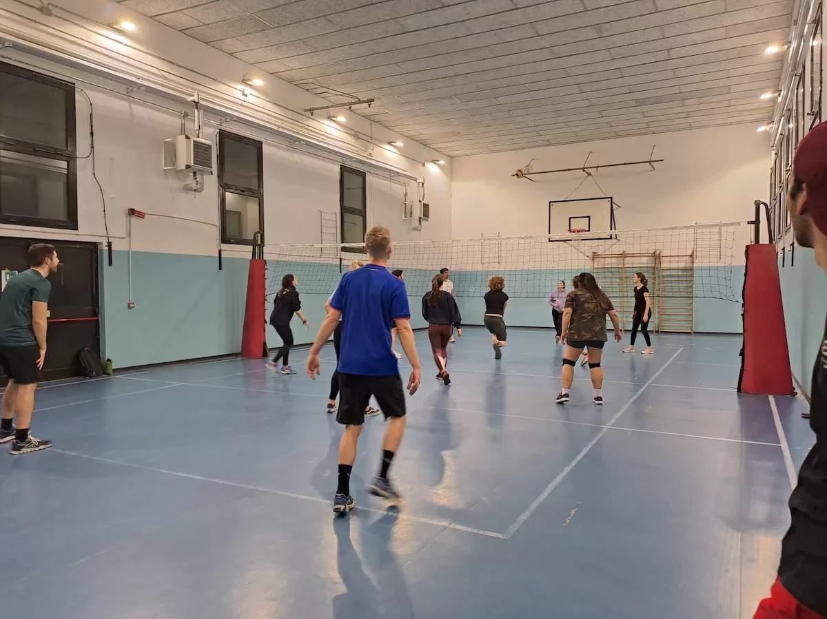 people playing volleyball