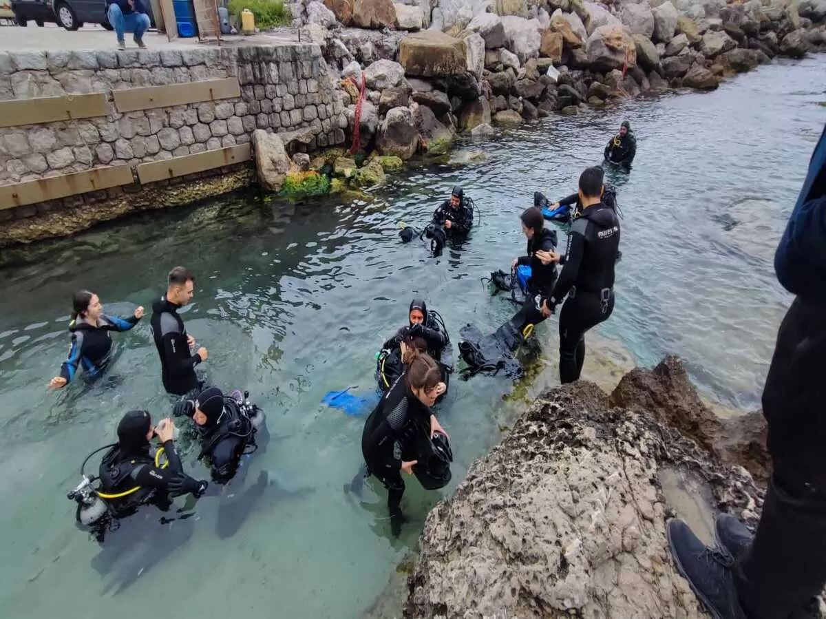 students in the sea preparing to dive