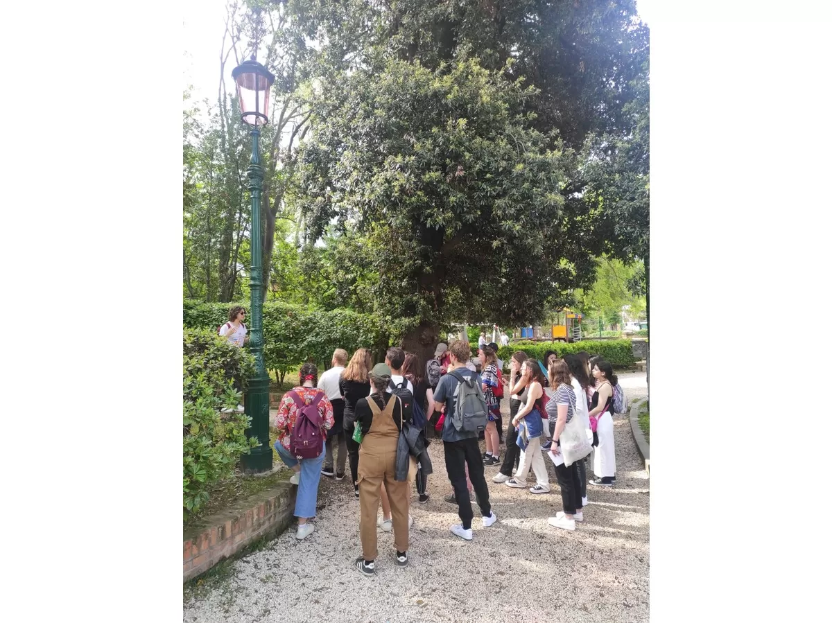 Volunteers and international students in circle listening to an explanation while standing in a park