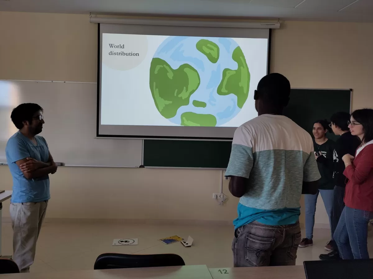International students and a PowerPoint presentation about sustainability