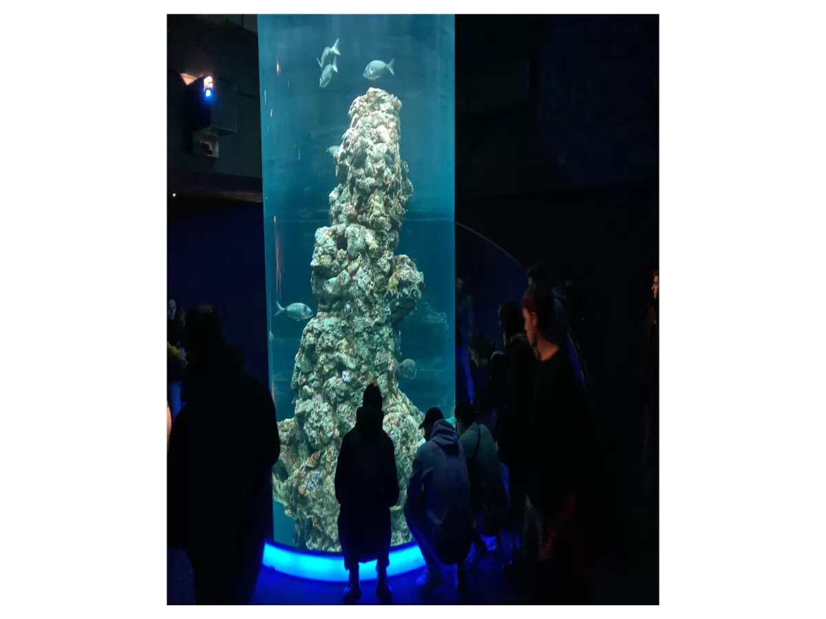 Tour of the aquarium