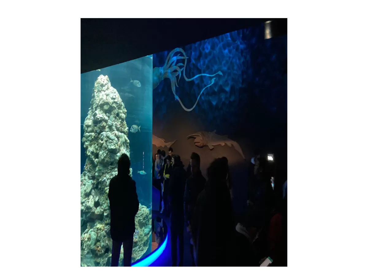 Tour of the aquarium