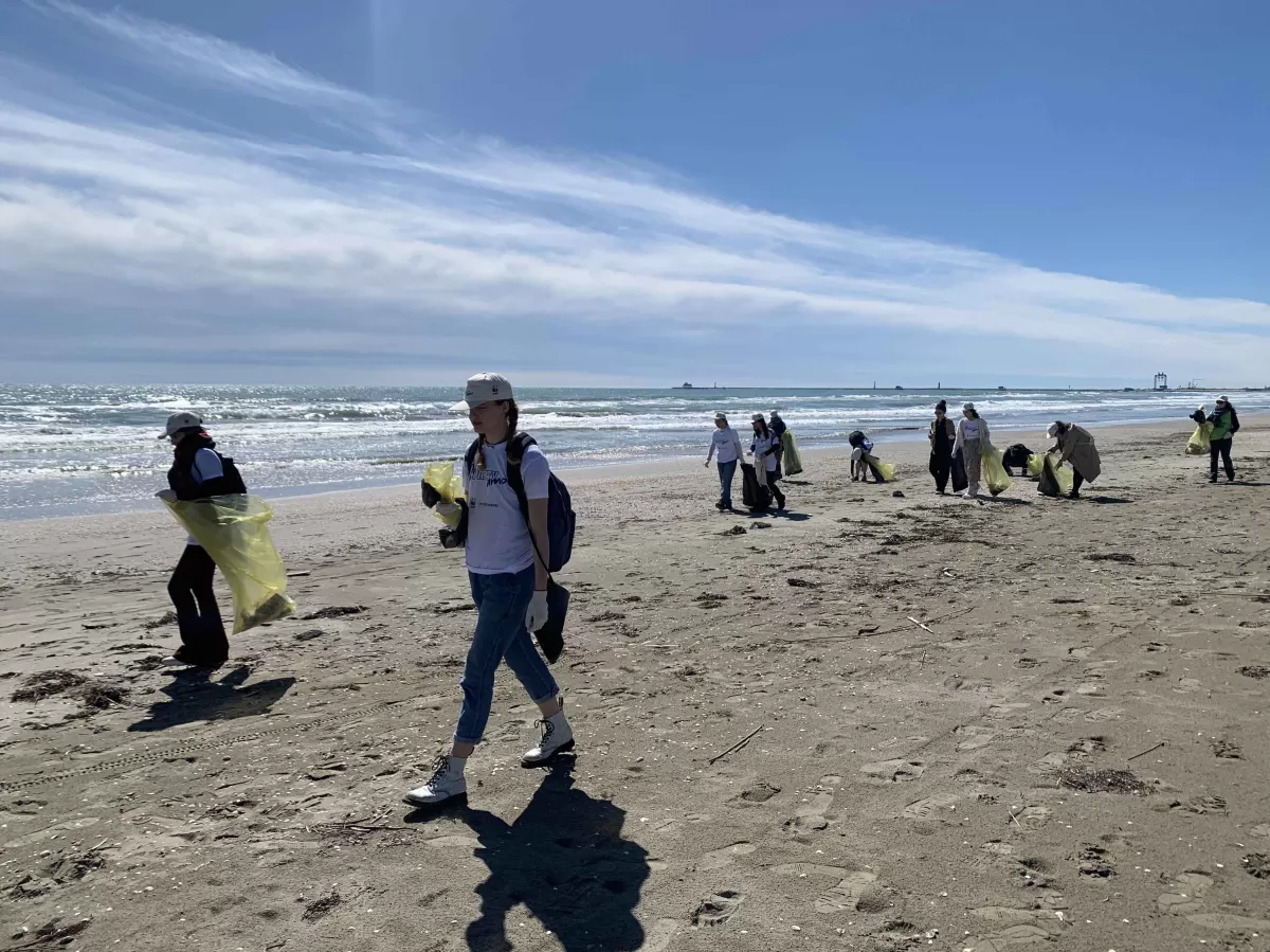 Picture of a group collecting trash from the beach