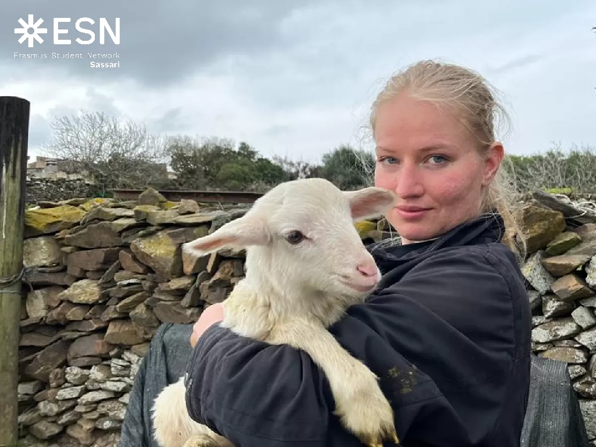 The happines of the erasmus