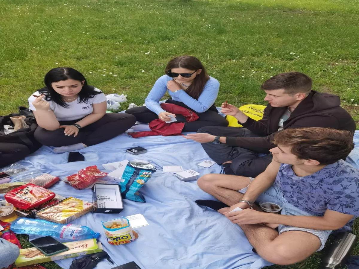 The end :) is a picnic with card games