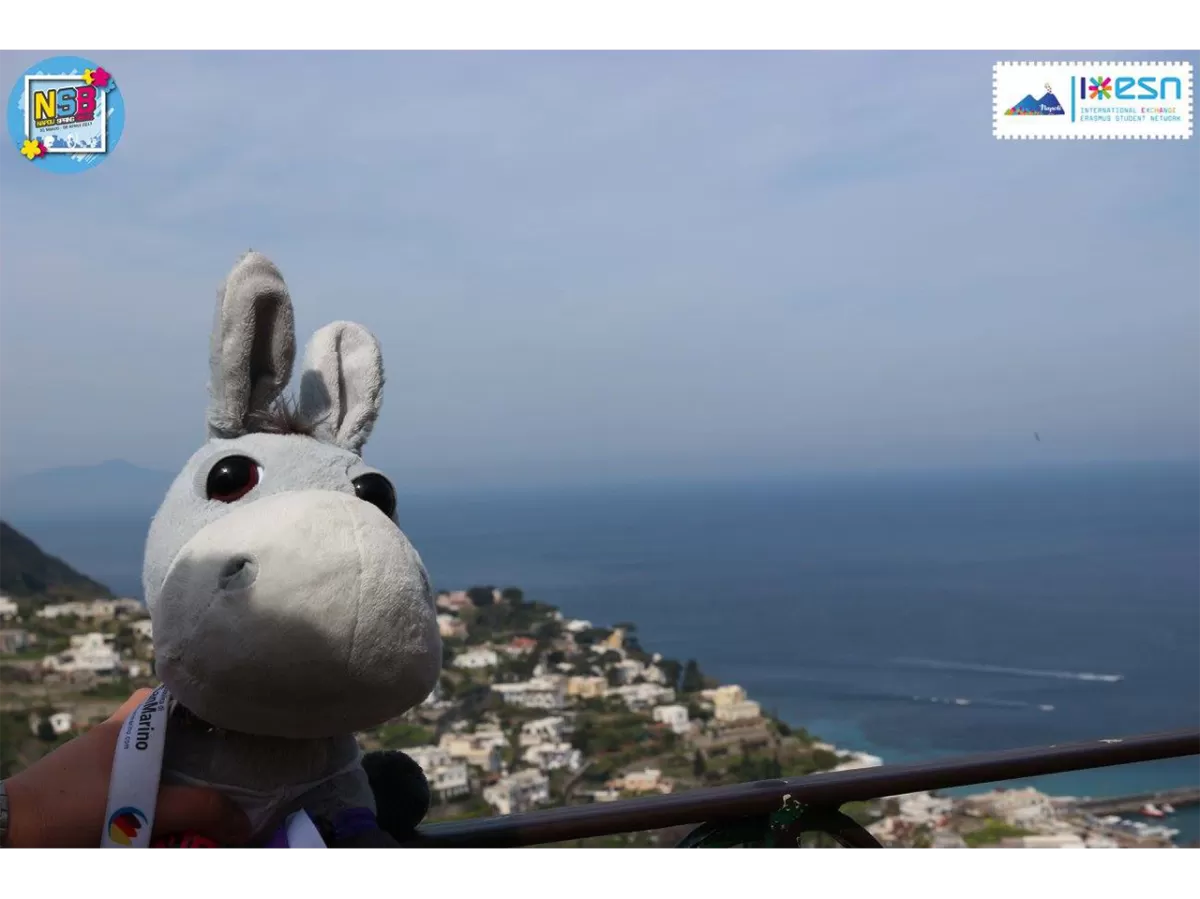 The ESN Napoli's mascot nad the sea behind