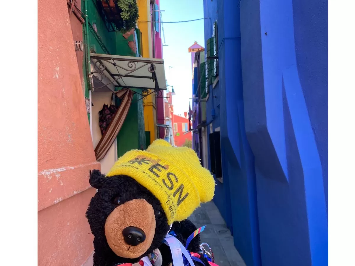 Our mascotte going around in Venice