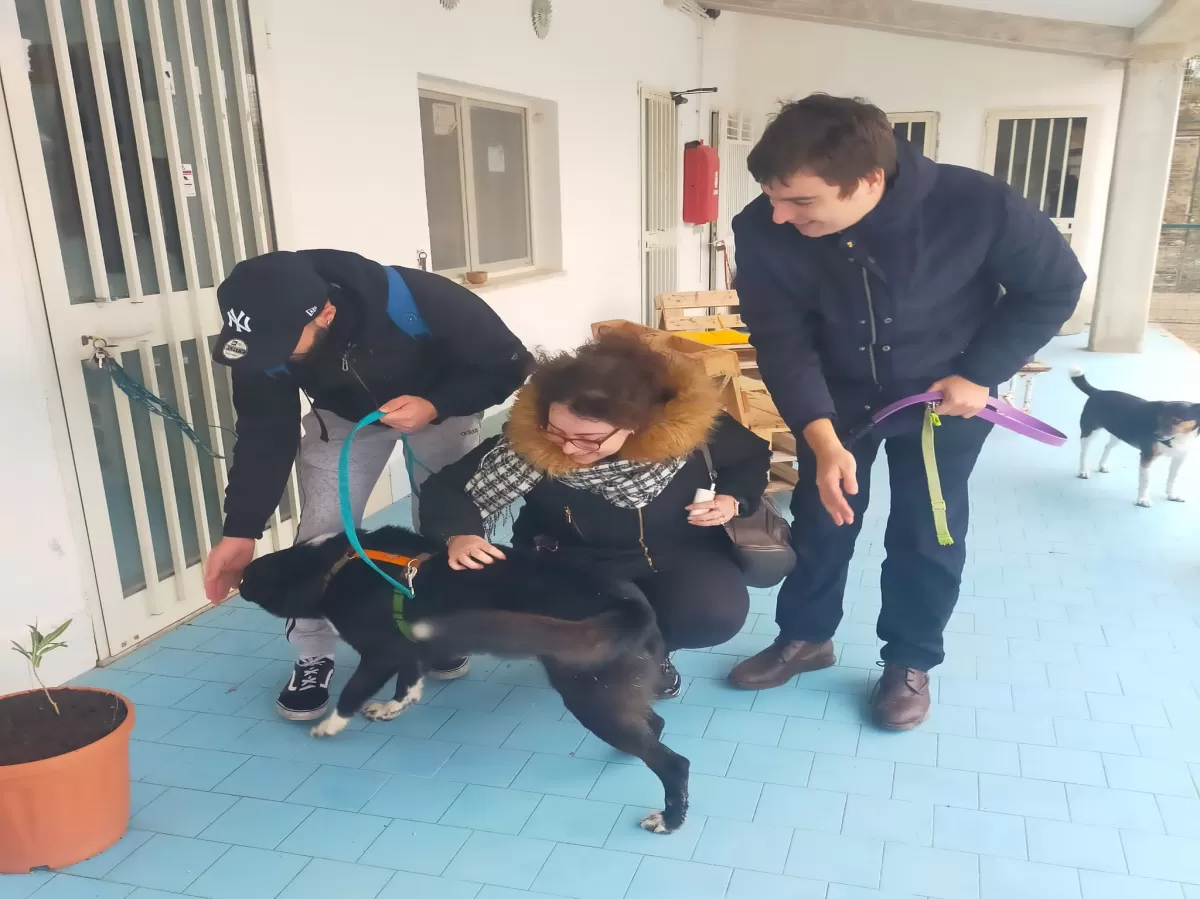 two guys and a girl petting a dog