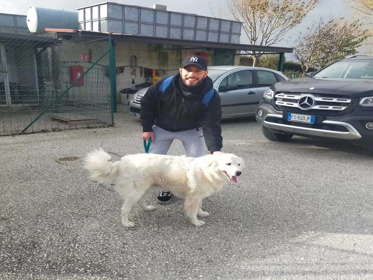 a guy posing with a white dog