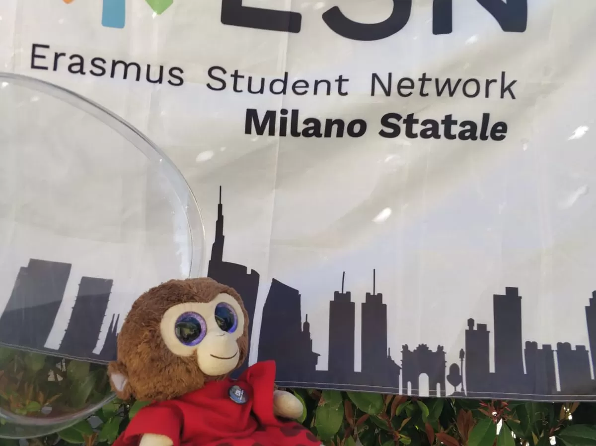 ESN Milano Statale flag and mascotte